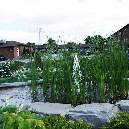 Newmarket Inn Ngoại thất bức ảnh